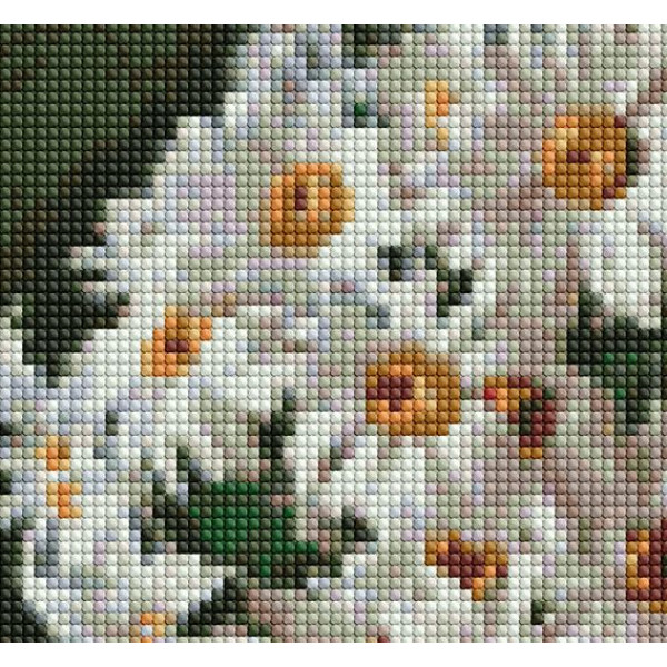 Фото - Алмазний живопис Ideyka "Ромашкова краса" 40х40см (AMO7331)