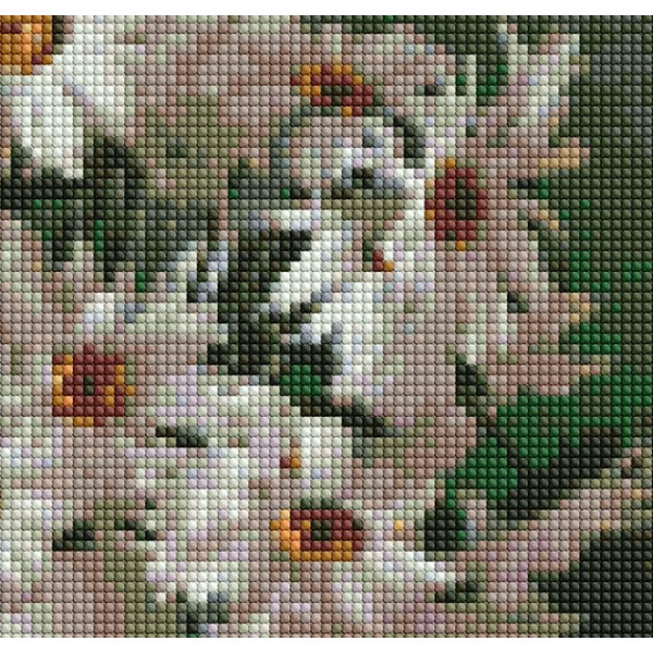 Фото - Алмазний живопис Ideyka "Ромашкова краса" 40х40см (AMO7331)