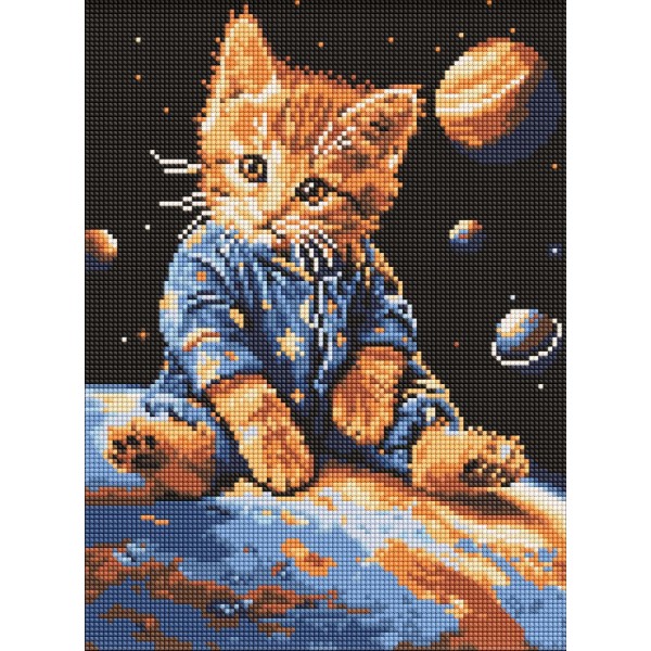 Фото - Алмазная живопись Ideyka Звездный котик 30x40 см (AMO8167)