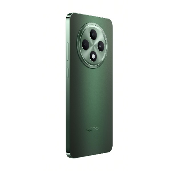 Фото - Смартфон OPPO Reno 12 F 5G 8/256Gb Black Green