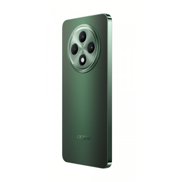 Фото - Смартфон OPPO Reno 12 FS 5G 12/512Gb Black Green