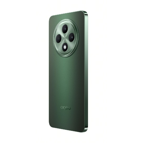 Фото - Смартфон OPPO Reno 12 F 5G 8/256Gb Black Green