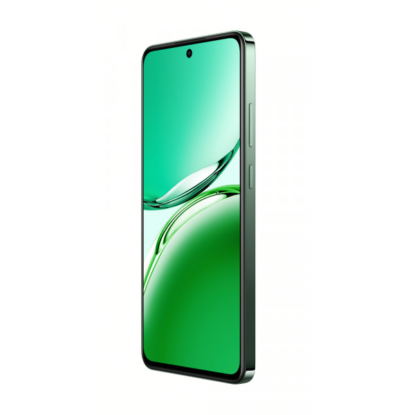 Фото - Смартфон OPPO Reno 12 FS 5G 12/512Gb Black Green