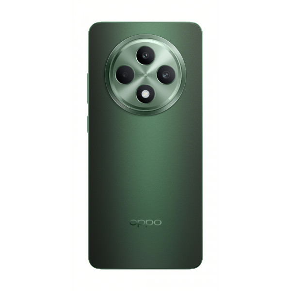 Фото - Смартфон OPPO Reno 12 FS 5G 12/512Gb Black Green
