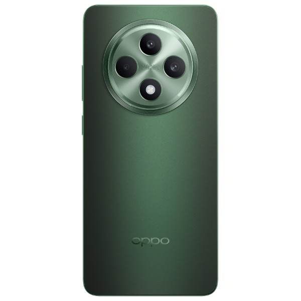 Фото - Смартфон OPPO Reno 12 F 5G 8/256Gb Black Green