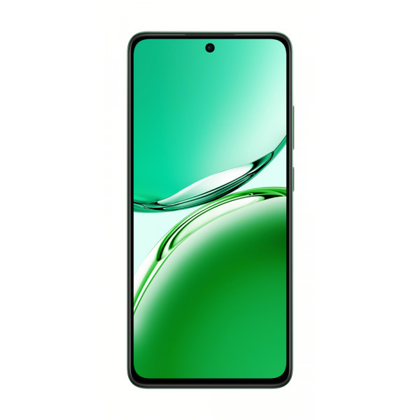 Фото - Смартфон OPPO Reno 12 FS 5G 12/512Gb Black Green