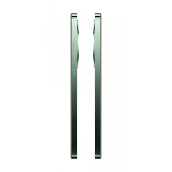 Фото - Смартфон OPPO Reno 12 FS 5G 12/512Gb Black Green