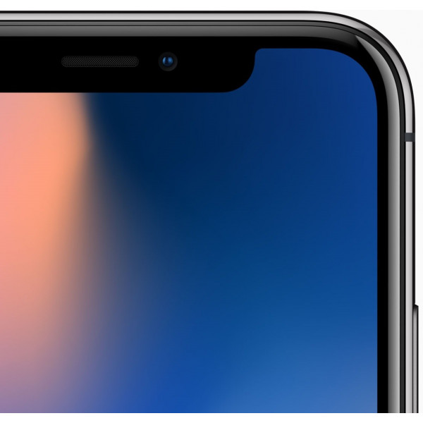 Фото - Смартфон Apple iPhone X 64Gb Space Grey