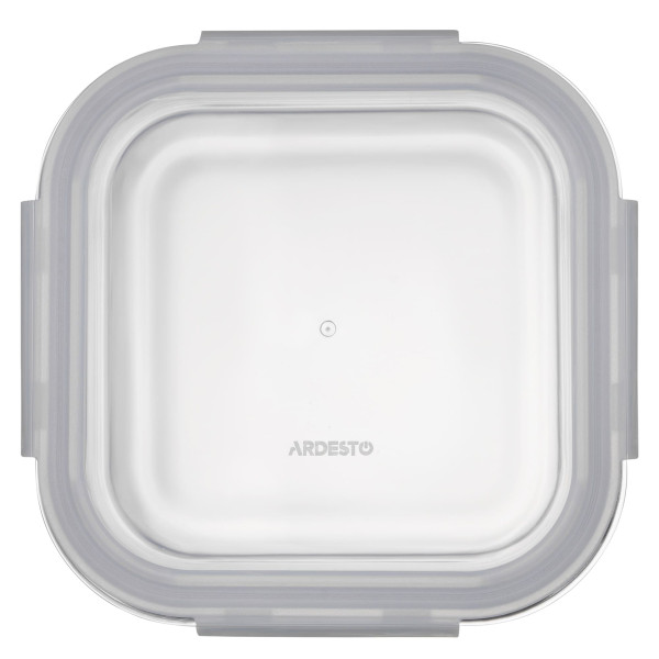 Фото - Ємність для зберігання Ardesto Gemini 1.23 л (AR1212BSQ)