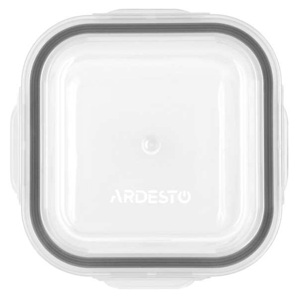 Фото - Емкость для хранения ARDESTO Gemini 300 мл (AR1230SQ)