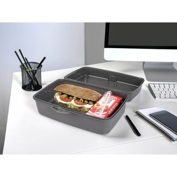 Фото - Ланч-бокс Herevin Grey Big Lunch Box (161459-801) Фото - Ланч-бокс Herevin Grey Big Lunch Box (161459-801)