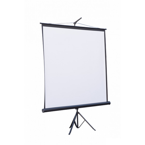 Фото - Екран ATRIA ECO TRM-NTSC-84D