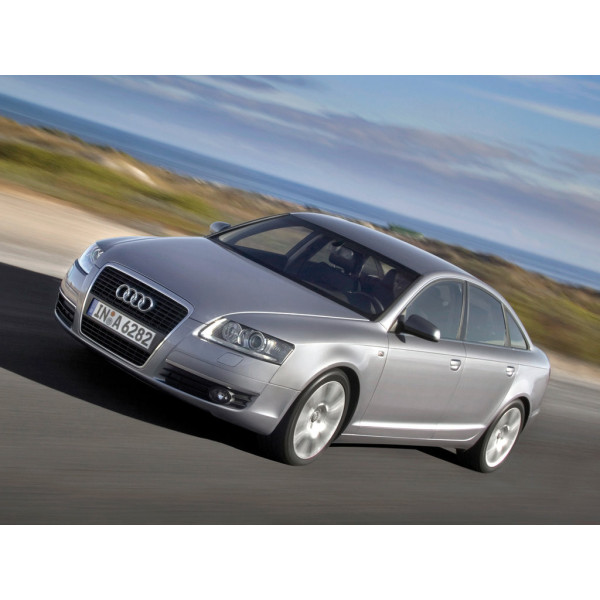 Фото - Коврики из экокожи в салон авто EVAtech ECO для A6 (C6) Audi 2004-2008 3 поколение Sedan EU AU3163CG5AV8BBLB
