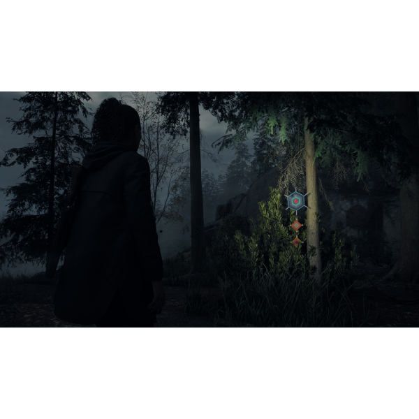 Фото - Ігровий диск PS5 Alan Wake 2 Deluxe Edition