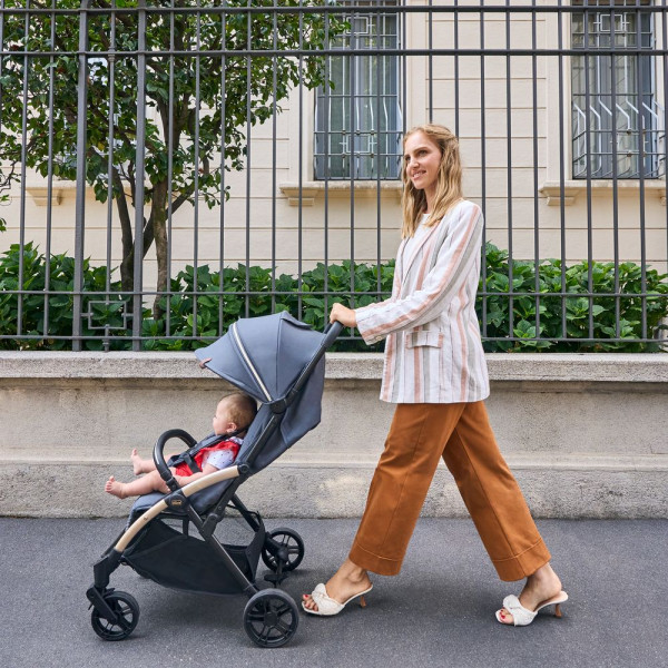 Фото - Коляска прогулочная Chicco Goody XPlus Stroller, цв.84 (87040.84)