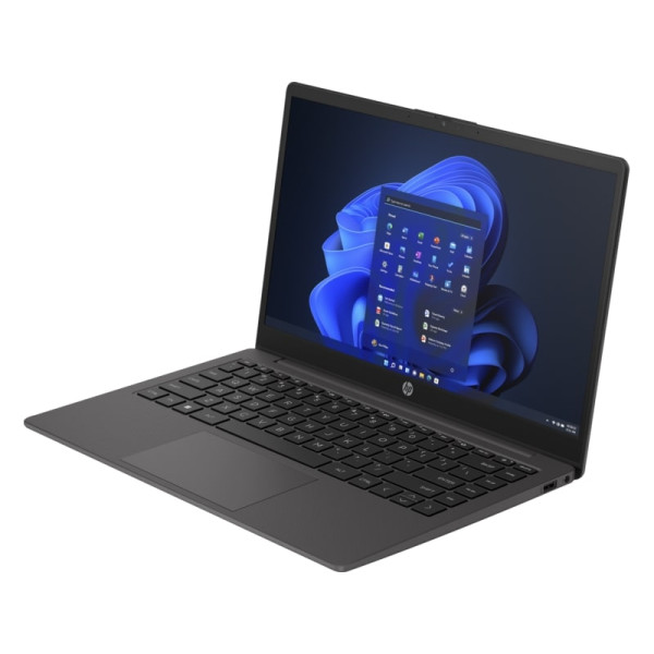 Фото - Ноутбук HP 245-G10 (B39TGAT) Dark Ash Silver
