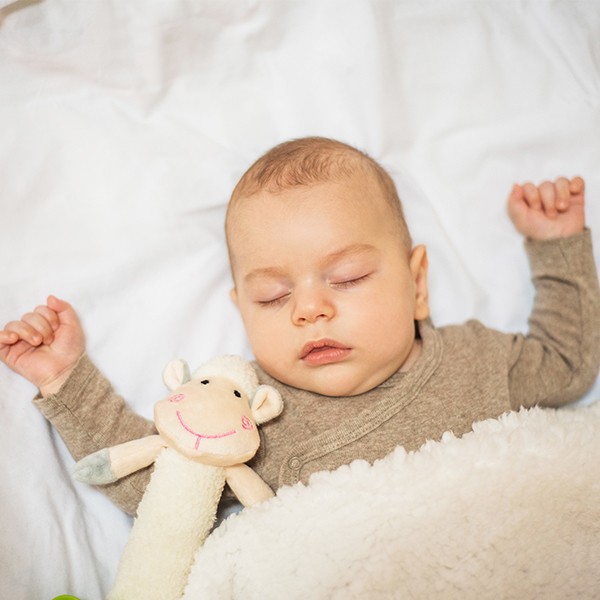 Фото - Брязкальце BabyOno Весела Овечка (606)