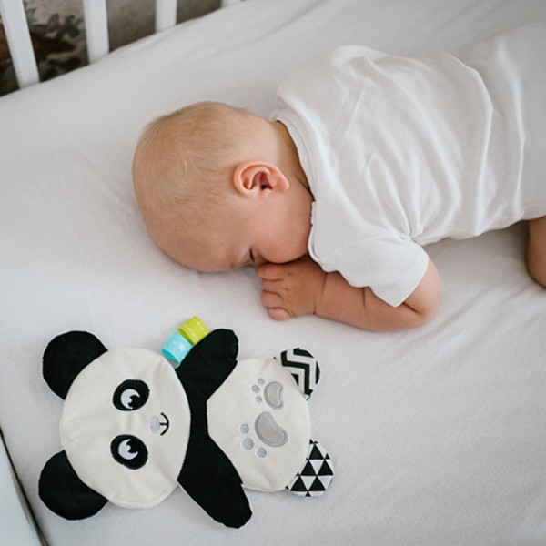 Фото - Погремушка BabyOno с шуршанием Панда Полли (1558)