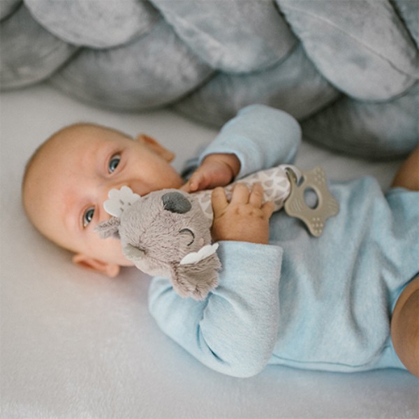 Фото - Погремушка BabyOno с пищалкой и прорезывателем Коала Коко (1633)