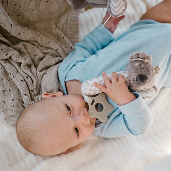 Фото - Погремушка BabyOno с пищалкой и прорезывателем Коала Коко (1633)