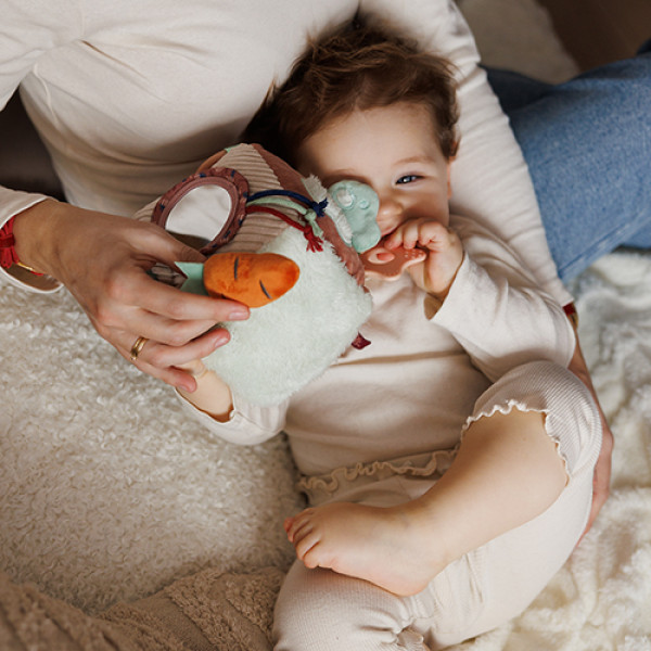 Фото - Кубик BabyOno Кролик Каро (1683)