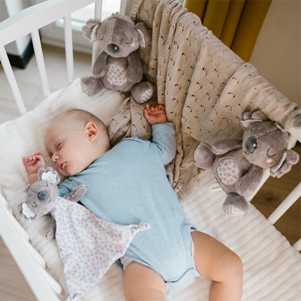Фото - Погремушка BabyOno Коала Коко 20x25 см (1635)