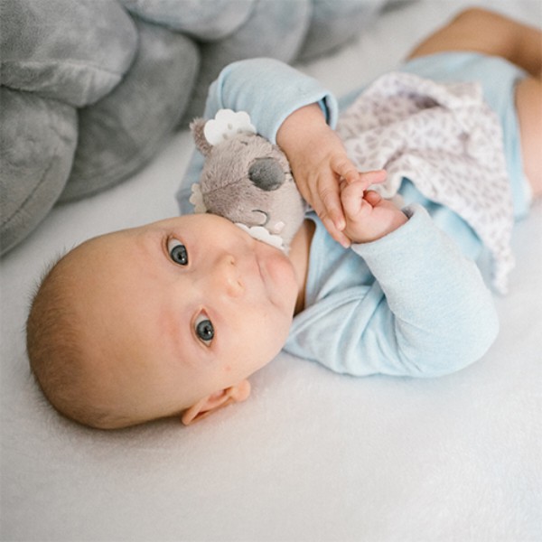 Фото - Погремушка BabyOno Коала Коко 20x25 см (1635)