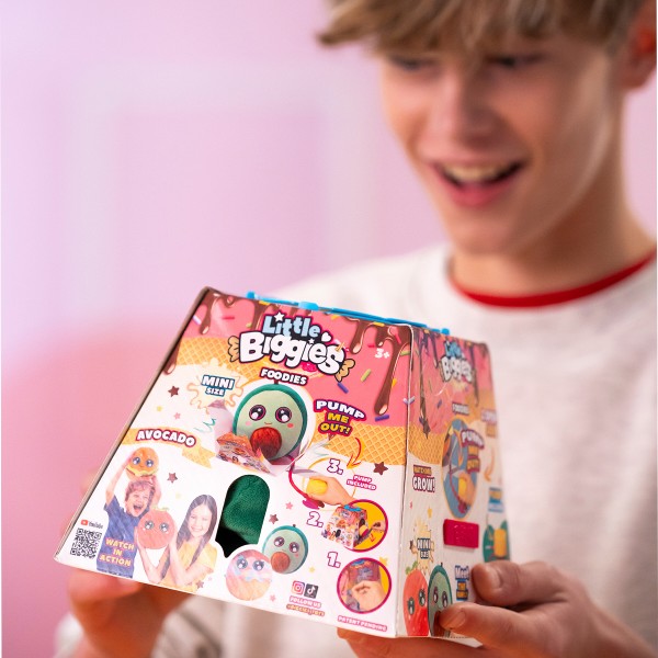 Фото - Мягкая игрушка Biggies серии Little Foodies W2 - МОРОЖЕНОЕ (BIG002-IC)