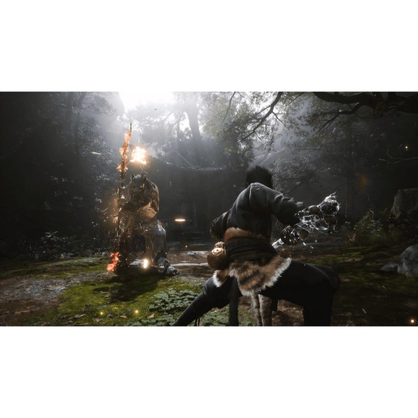 Фото - Ігровий диск PS5 Black Myth: Wukong
