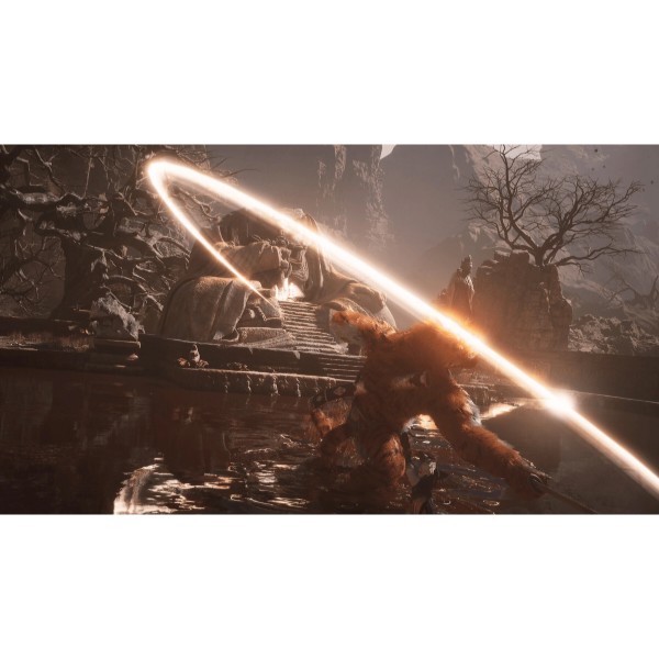 Фото - Ігровий диск PS5 Black Myth: Wukong