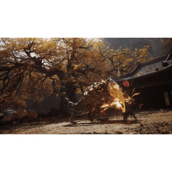 Фото - Ігровий диск PS5 Black Myth: Wukong