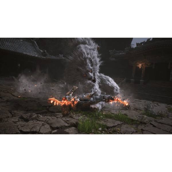 Фото - Ігровий диск PS5 Black Myth: Wukong