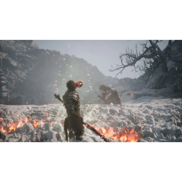 Фото - Ігровий диск PS5 Black Myth: Wukong