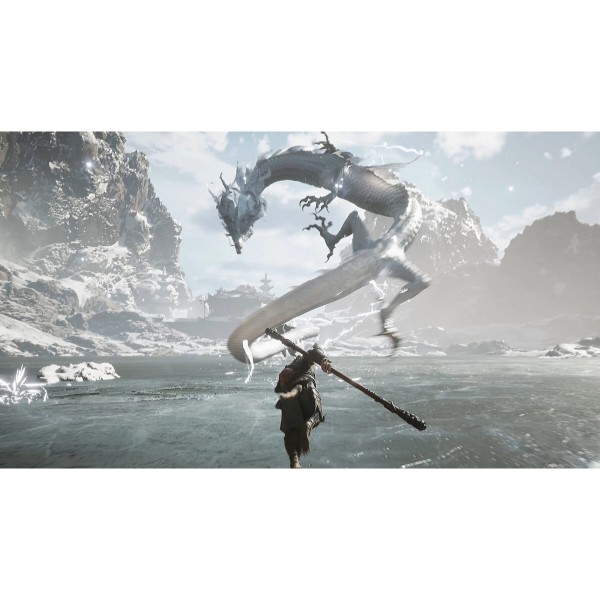 Фото - Ігровий диск PS5 Black Myth: Wukong