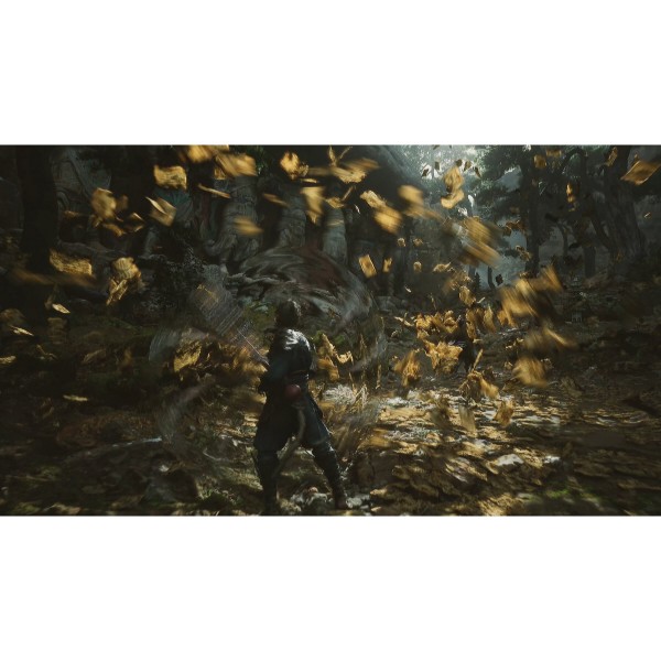 Фото - Ігровий диск PS5 Black Myth: Wukong