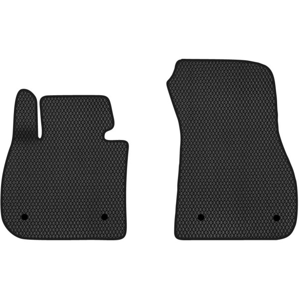 Фото - EVA килимки в салон авто передні EVAtech для 2 Series (F46) Gran Tourer BMW 2014-2021 1 покоління SUV EU (BM22050A2BW4RBB)