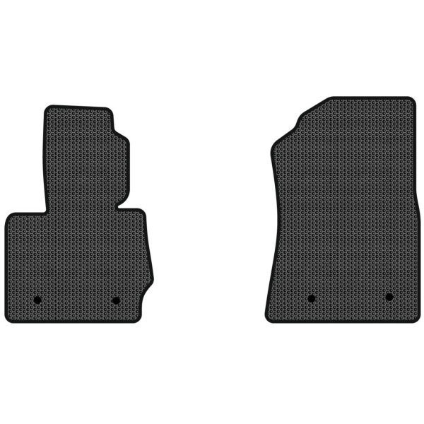 Фото - EVA килимки в салон авто передні EVAtech для X3 (F25) BMW 2010-2017 2 покоління SUV USA (BM31393AB2BW4SBB)