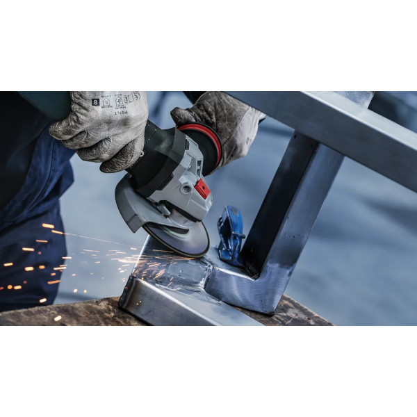 Фото - Диск шлифовальный по металлу Bosch Professional 125x6x22.23 мм (2.608.602.488)