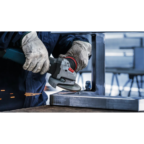 Фото - Диск шлифовальный по металлу Bosch Professional 125x6x22.23 мм (2.608.602.488)
