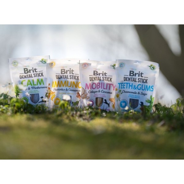 Фото - Ласощі для собак Brit Care Dental Stick Calm для дорослих з коноплею та пустирником заспокійливі 7 шт. 251 г (8595602564385)