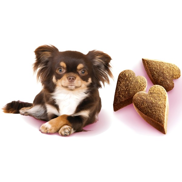 Фото - Лакомство для собак Brit Care Mini Treats Mood малых пород против стресса ягненка вкус ваниль 50 г (8595602578542)