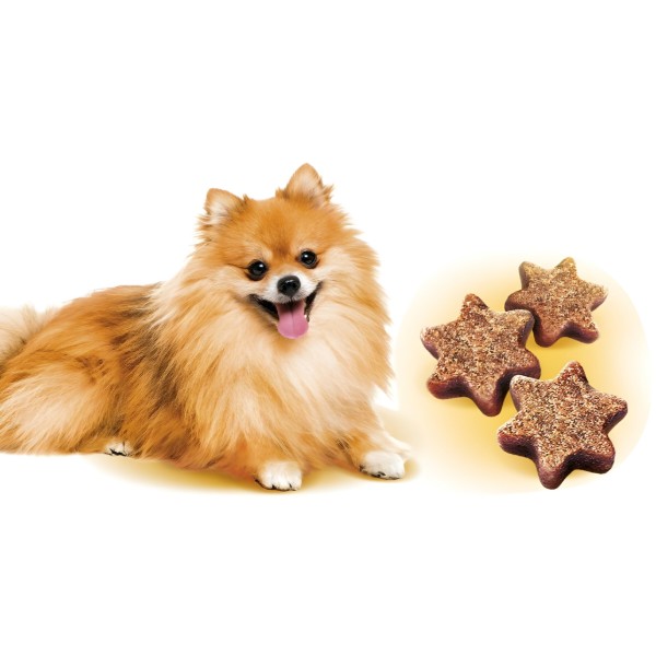 Фото - Ласощі для собак Brit Care Mini Treats Shine малих порід для блискучої шерсті лосось 50 г (8595602578566)