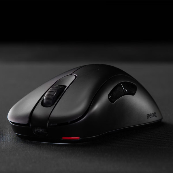 Фото - Мышь беспроводная игровая Zowie EC1-DW Black (9H.N4TBE.A2E)