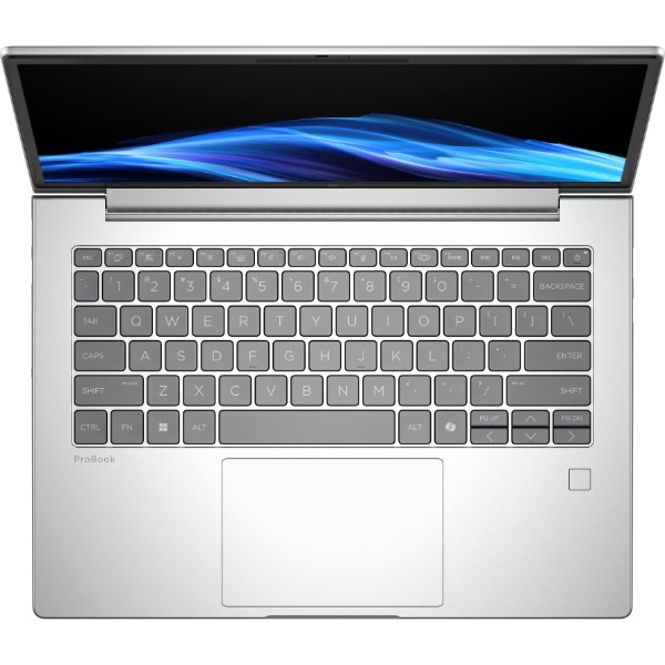 Фото - Ноутбук HP ProBook 4-G1i (C44Z7ET) Pike Silver