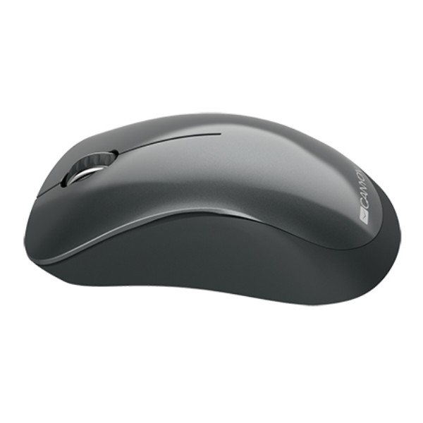 Фото - Миша бездротова Canyon CNE-CMSW11B Black