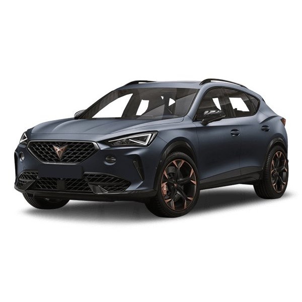 Фото - EVA килимок в багажник авто EVAtech для Formentor Cupra 2020 1 покоління SUV EU (CU41978B1RGB)