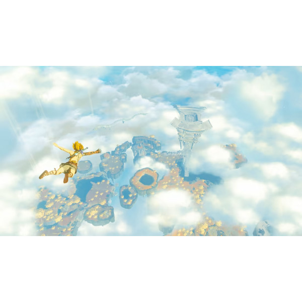 Фото - Ігровий картридж Nintendo The Legend of Zelda: Tears of the Kingdom [Nintendo Switch]