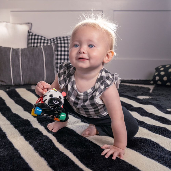 Фото - Погремушка Baby Einstein Curious Car Zen (16772)