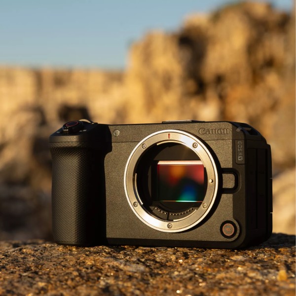 Фото - Фотокамера беззеркальная Canon EOS R6 V body (7250C020AA)