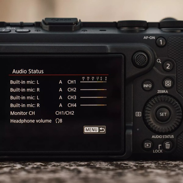 Фото - Фотокамера беззеркальная Canon EOS R6 V body (7250C020AA)